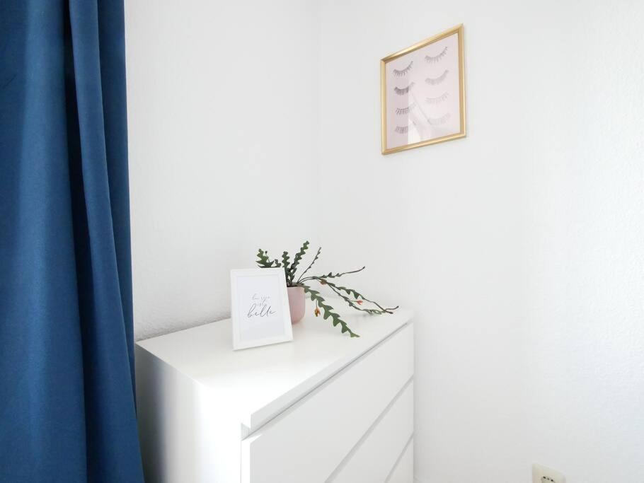 110 M2, Dachterrasse, Kueche, Zentral, Ruhige Lage Apartment Paderborn Bagian luar foto